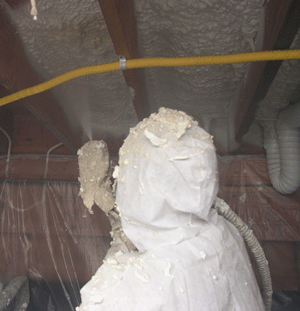 Norfolk VA crawl space insulation